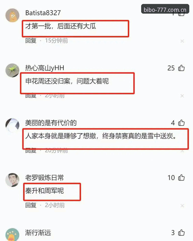 必博官方入口评测 终身禁足 vs 五年禁足:第三批名单全面对比,必博官方入口评测视角下的中国足球整肃